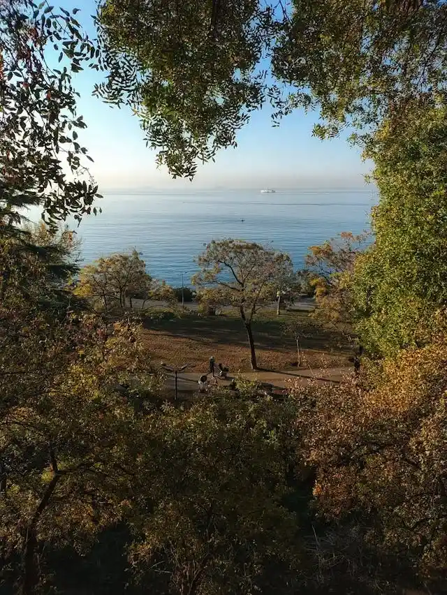 برامج الاستجمام والعلاج الصحي