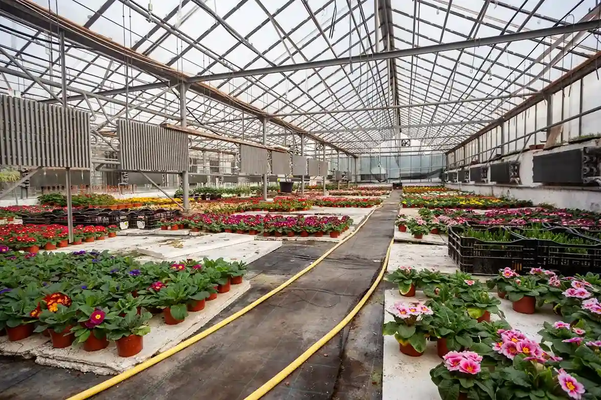 الاستدامة البيئية