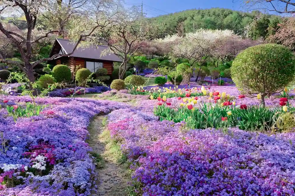 توريد وتركيب البيوت المحمية